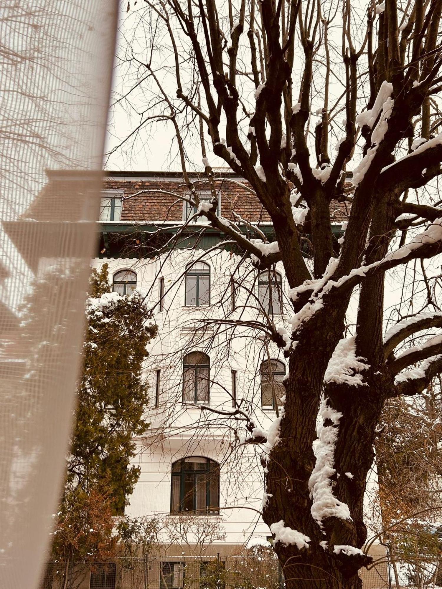 Apartment 5 Min Schoenbrunn Gloriette, Direct To City Center, Free Parking Bécs Kültér fotó